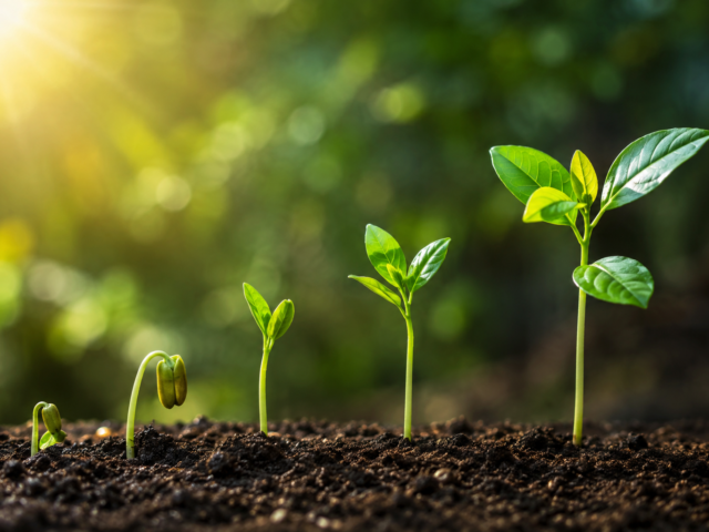 Why Every Small Business Must Earn Its Growth: